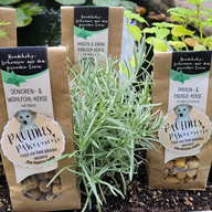 Naturkräuter Hundekekse
